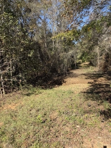 Overton TX Land for Sale Near Kilgore in Rusk County East Texas - image 27