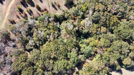 Overton TX Land for Sale Near Kilgore in Rusk County East Texas - image 4