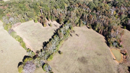 Overton TX Land for Sale Near Kilgore in Rusk County East Texas - image 2