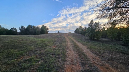 Overton TX Land for Sale Near Kilgore in Rusk County East Texas - image 16