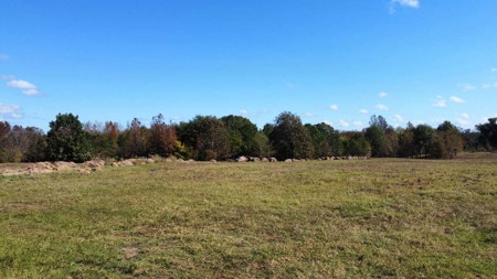 Overton TX Land for Sale Near Kilgore in Rusk County East Texas - image 9