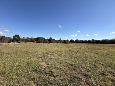 Overton TX Land for Sale Near Kilgore in Rusk County East Texas - image 18