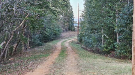 Overton TX Land for Sale Near Kilgore in Rusk County East Texas - image 28
