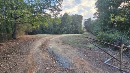 Overton TX Land for Sale Near Kilgore in Rusk County East Texas - image 17