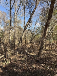 Overton TX Land for Sale Near Kilgore in Rusk County East Texas - image 31