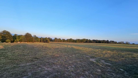 Overton TX Land for Sale Near Kilgore in Rusk County East Texas - image 20