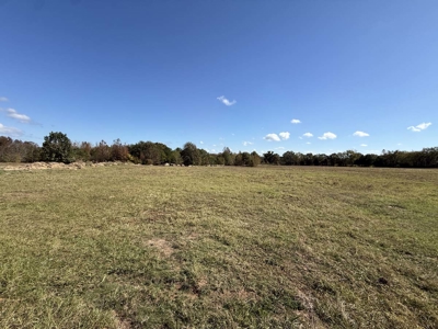 Overton TX Land for Sale Near Kilgore in Rusk County East Texas - image 19