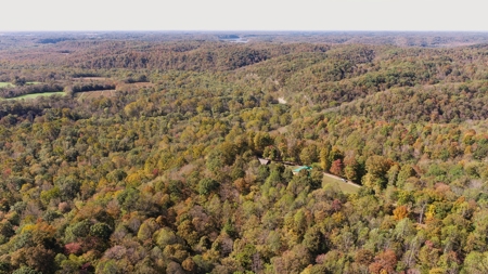 4 Bedroom Cabin on approx 150 Acres Knifley, Kentucky - image 8