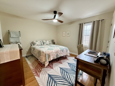 4 Bedroom Cabin on approx 150 Acres Knifley, Kentucky - image 24