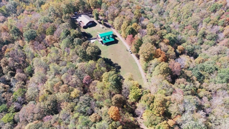 4 Bedroom Cabin on approx 150 Acres Knifley, Kentucky - image 14