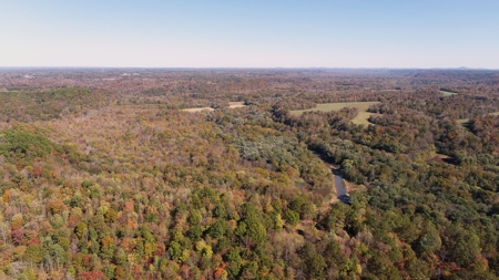 4 Bedroom Cabin on approx 150 Acres Knifley, Kentucky - image 11