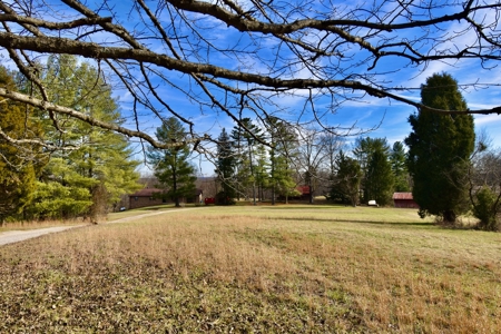 44 AC Farm for Sale, Tell City, IN | Borders Hoosier National - image 39