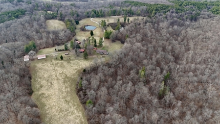 44 AC Farm for Sale, Tell City, IN | Borders Hoosier National - image 9