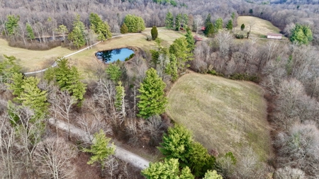 44 AC Farm for Sale, Tell City, IN | Borders Hoosier National - image 2