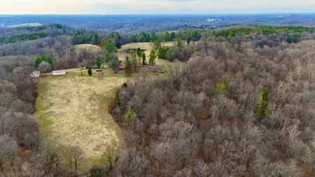44 AC Farm for Sale, Tell City, IN | Borders Hoosier National - image 7