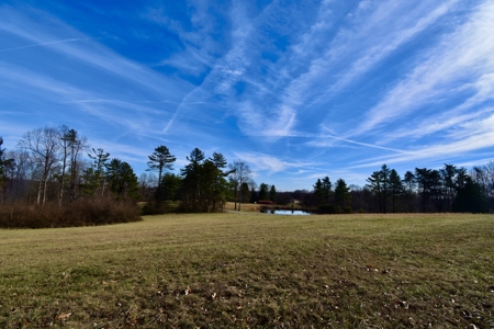 44 AC Farm for Sale, Tell City, IN | Borders Hoosier National - image 38