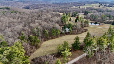 44 AC Farm for Sale, Tell City, IN | Borders Hoosier National - image 10