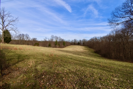 44 AC Farm for Sale, Tell City, IN | Borders Hoosier National - image 36