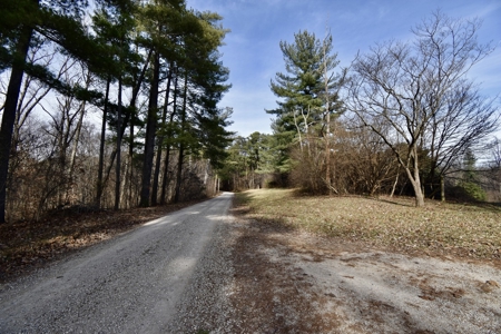 44 AC Farm for Sale, Tell City, IN | Borders Hoosier National - image 13