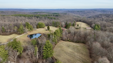 44 AC Farm for Sale, Tell City, IN | Borders Hoosier National - image 4