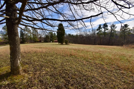 44 AC Farm for Sale, Tell City, IN | Borders Hoosier National - image 14