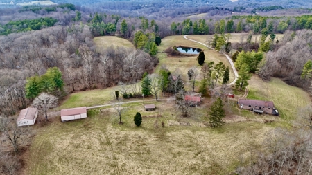 44 AC Farm for Sale, Tell City, IN | Borders Hoosier National - image 6