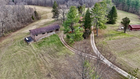 44 AC Farm for Sale, Tell City, IN | Borders Hoosier National - image 3