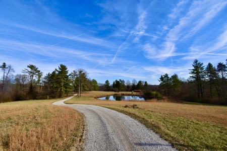 44 AC Farm for Sale, Tell City, IN | Borders Hoosier National - image 20