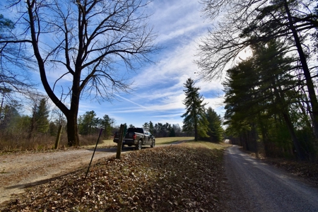 44 AC Farm for Sale, Tell City, IN | Borders Hoosier National - image 18