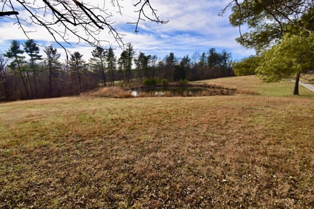 44 AC Farm for Sale, Tell City, IN | Borders Hoosier National - image 17