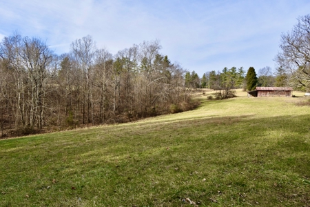 44 AC Farm for Sale, Tell City, IN | Borders Hoosier National - image 40