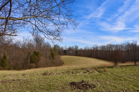 44 AC Farm for Sale, Tell City, IN | Borders Hoosier National - image 21