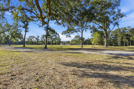 Land for Sale in High Springs Florida - image 5