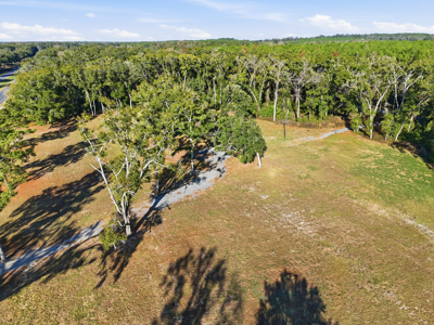 Land for Sale in High Springs Florida - image 3
