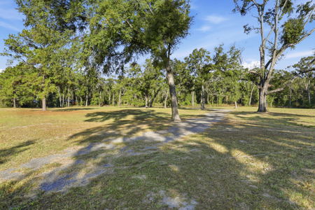 Land for Sale in High Springs Florida - image 4