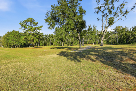 Land for Sale in High Springs Florida - image 6
