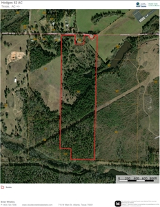 52 Acres for Sale Near Atlanta, TX - image 6