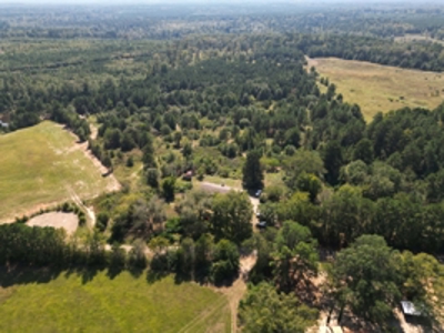 52 Acres for Sale Near Atlanta, TX - image 1