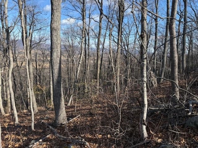 3.2± Ac. Blue Ridge View Lot: Fiber Ready & Cabin Friendly - image 20