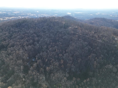 3.2± Ac. Blue Ridge View Lot: Fiber Ready & Cabin Friendly - image 4