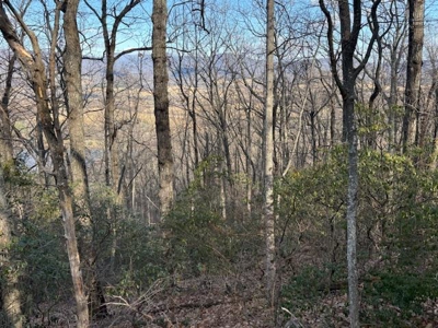 3.2± Ac. Blue Ridge View Lot: Fiber Ready & Cabin Friendly - image 25