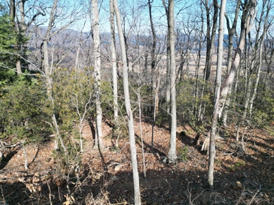 3.2± Ac. Blue Ridge View Lot: Fiber Ready & Cabin Friendly - image 10