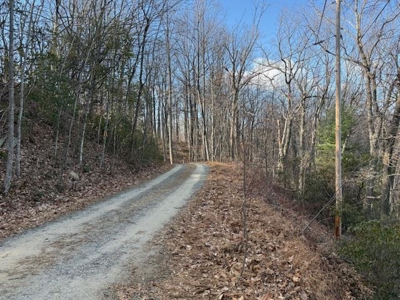 3.2± Ac. Blue Ridge View Lot: Fiber Ready & Cabin Friendly - image 27