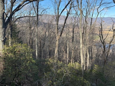 3.2± Ac. Blue Ridge View Lot: Fiber Ready & Cabin Friendly - image 26