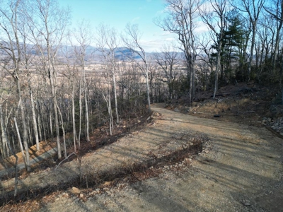 3.2± Ac. Blue Ridge View Lot: Fiber Ready & Cabin Friendly - image 8