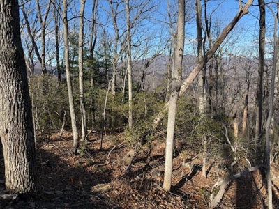 3.2± Ac. Blue Ridge View Lot: Fiber Ready & Cabin Friendly - image 21