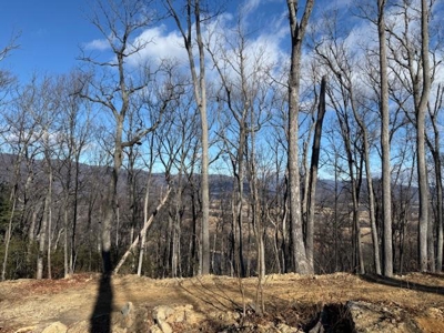 3.2± Ac. Blue Ridge View Lot: Fiber Ready & Cabin Friendly - image 18