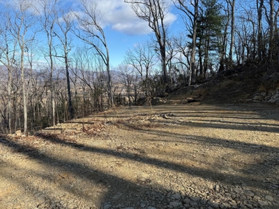 3.2± Ac. Blue Ridge View Lot: Fiber Ready & Cabin Friendly - image 15