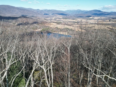 3.2± Ac. Blue Ridge View Lot: Fiber Ready & Cabin Friendly - image 11