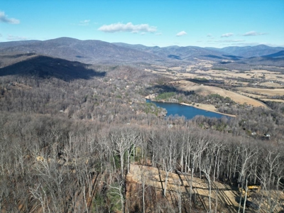 3.2± Ac. Blue Ridge View Lot: Fiber Ready & Cabin Friendly - image 7